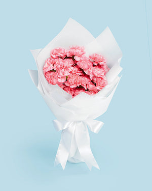Carnation Bouquet (MD)