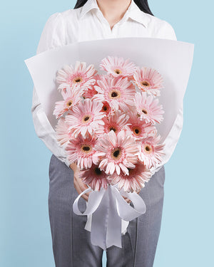 Gerberas